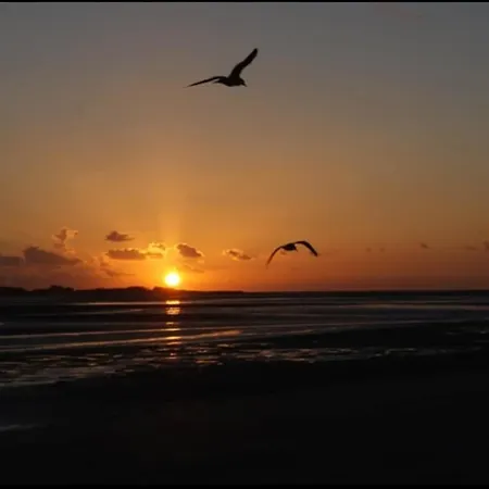 Les Pieds Dans L'eau * Le Crotoy