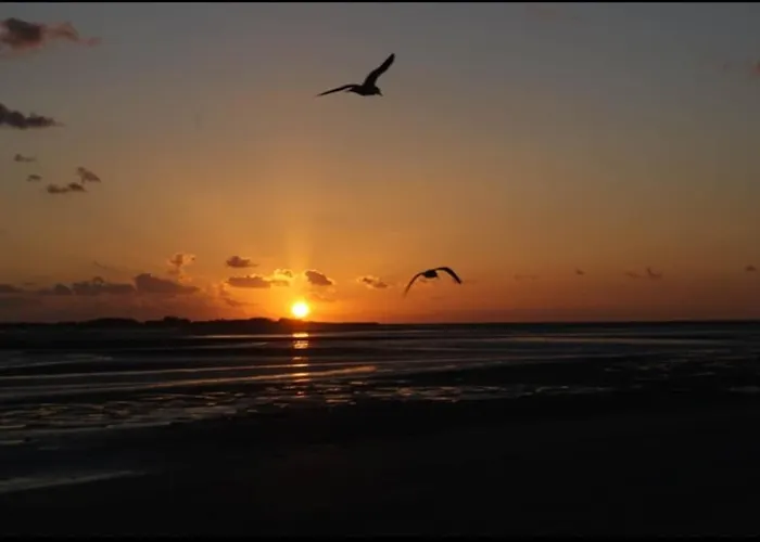 Les Pieds Dans L'eau * Le Crotoy